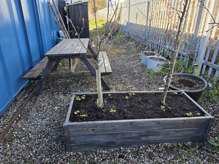 Large Planter